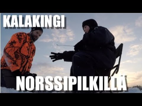 Kalakingi - Norssipilkillä Niilon kanssa - Palkitseeko Ahti? - Pilkkiminen - Eumer