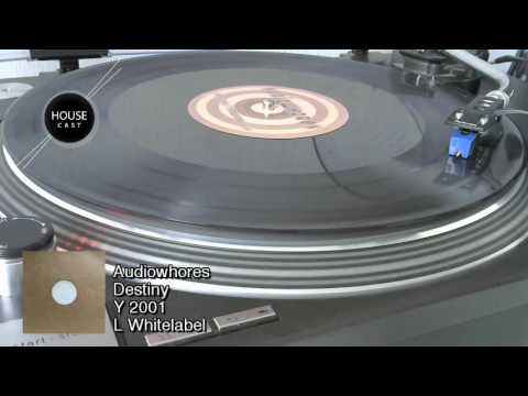 Audiowhores - Destiny