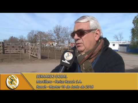 19-06-18 Nota Bernardo Dobal - Ferias Rauch S.A. - Rauch.