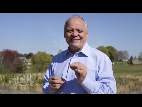 PROMO - Drumul spre EMAUS  - cu Nicu Butoi