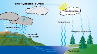 The importance of water and hydrological cycle