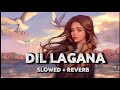 O Yaara Dil Lagana [Slowed+Reverb] ~Vidyut J || Romantic Love Lofi Song || Invisible Mine