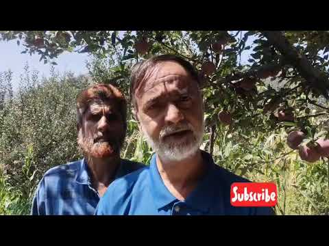 Progressive Orchardist Majid Majeed Shares Insights on Horticulture Sector