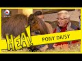 HEA! Pony Daisy op bezoek