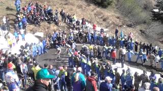 preview picture of video 'Arrivo tappa 20 del Giro d'Italia 2014 - Monte Zoncolan'