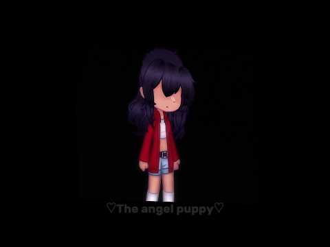 💔What about the plans we made💔 || Gacha Nymph Meme || Aphmau Mystreet season 6 || ♡The angel puppy♡