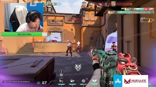 OXY Clove Ascent RADIANT SMOKES
