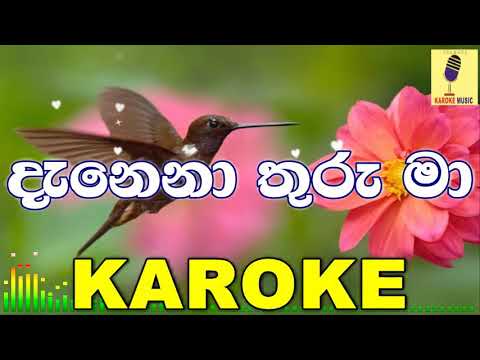 Danena Thuru Ma - Dinesh Gamage Karoke Without Voice