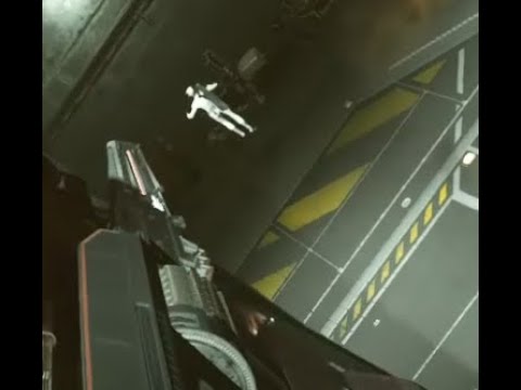 Star Citizen - How To Deal With Hangar Trolls