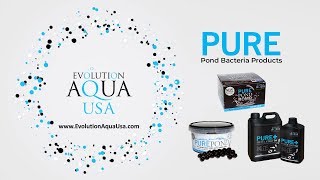 Evolution AQUA USA: Pure Pond Bacteria
