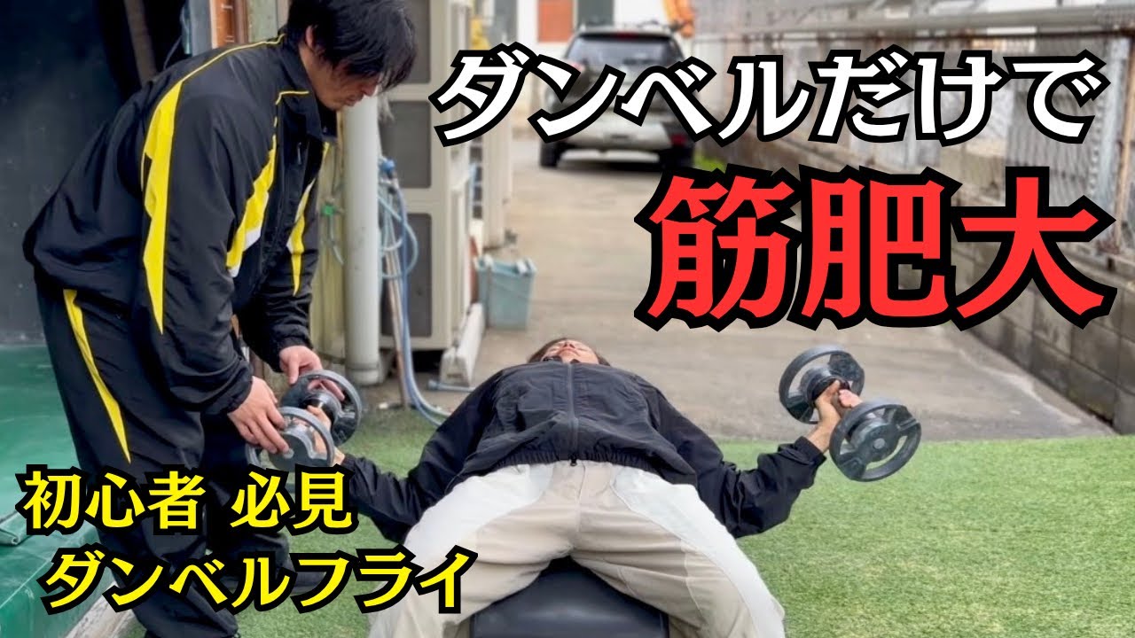 【初心者必見】胸トレに欠かせない、ダンベルフライ