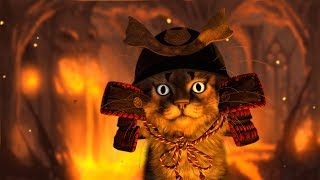 スズメオトシに猫騒動についてインタビュー生放送