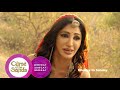 Zee World Curse Of The Sands Weekly Recap June W1