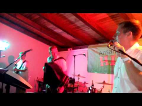 Brkinski trio - Pod oknom sem stal