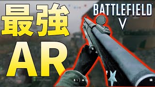 【BFV BF5】高精度な武器で無双。イケメンRibeyrolles 1918【PS4】