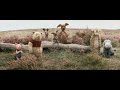 CHRISTOPHER ROBIN Official Trailer