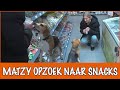 Matzy eet haar buikje rond | DierenpraatTV