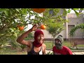 TRY TO NOT LAUGH CHALLENGE Must watch ne TRY TO NOT LAUGH CHALLENGE Must watch ne