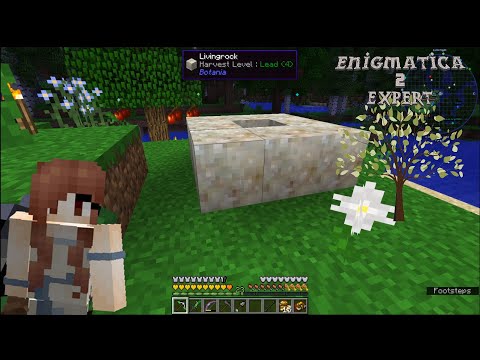 Enigmatica 2: Expert Ep. 15: Do You Believe in Magic (The Powered Anvil Trilogy Pt. 1)