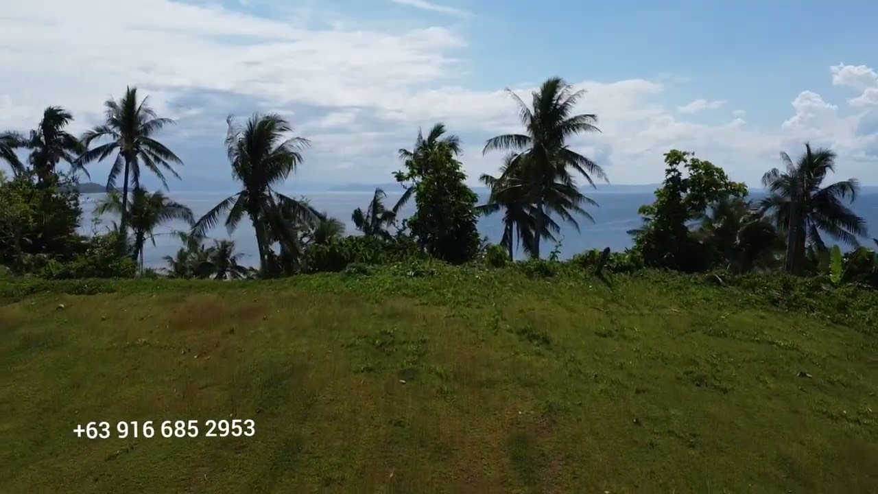 Discover the aerial views of La Januza Island.