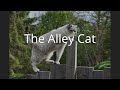 The Alley Cat