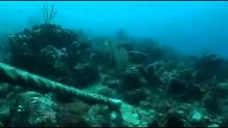 The Last Dive Part 2