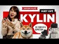 Vandy Vape Kylin - обслуживаемый бакомайзер - превью 872v2RibVdg