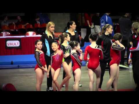 2016 Illinois Level 4 State Championships