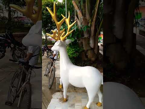 Palermo huila bonito