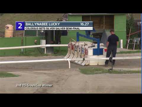 COLOSSUS SILVER SALVER - 3RD SEMI - T2 BALLYNABEE LUCKY