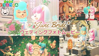 【あつ森】ウェディングフォトムービー☻限定家具で式場作り&写真撮影してみた☻ ゆるゆる“島暮らし” まろまゆの【あつまれどうぶつの森 実況】