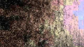 Kreng – Slaapliedje