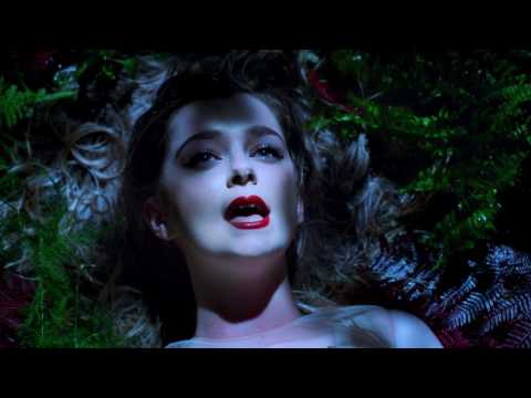 Lion video