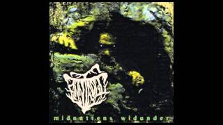 Finntroll   Midnattens Widunder Full Album