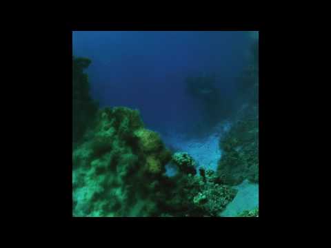 TINY FINGERS - The Fall ( Full Album )