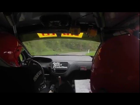 Rally del Taro 2016 IRC Vigilucci-Niro PS 1 - Montevaca'