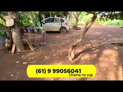 Chácara 4 ha à Venda em Vila Boa GO | Escriturada, Terra Plana | R$ 230 Mil