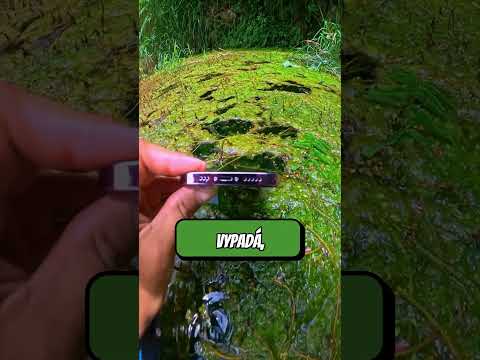 Proč hodil mobil do vody?