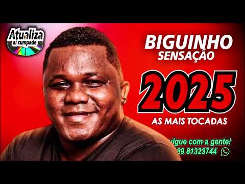 BIGUINHO SENSAÇÃO    AS MAIS TOCADAS   SELEÇÃO AS MELHORES 2025