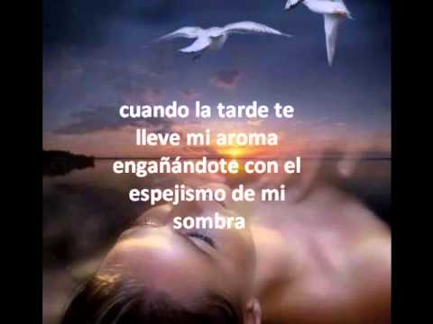 MATRIMONIO DE AMOR --RICHARD CLAYDERMAN
