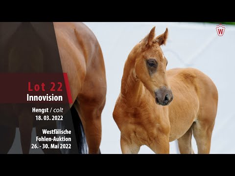 Fohlen-Auktion 26. - 30. Mai Lot 22 Innovision Hengst v. Asgard's Ibiza - Sir Donnerhall I
