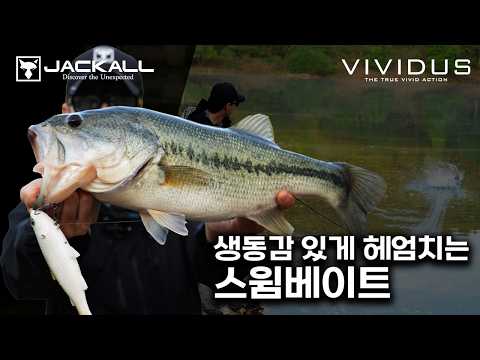 생동감 있는 액션으로 배스를 유혹하다｜스윔베이트 VIVIDUS【JACKALL】