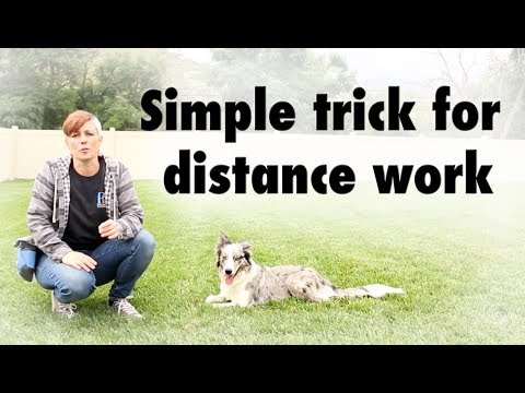 What is Clicker Training