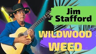 Jim Stafford LIVE  Wildwood Weed  &amp; Saving Chihuahuas Lives