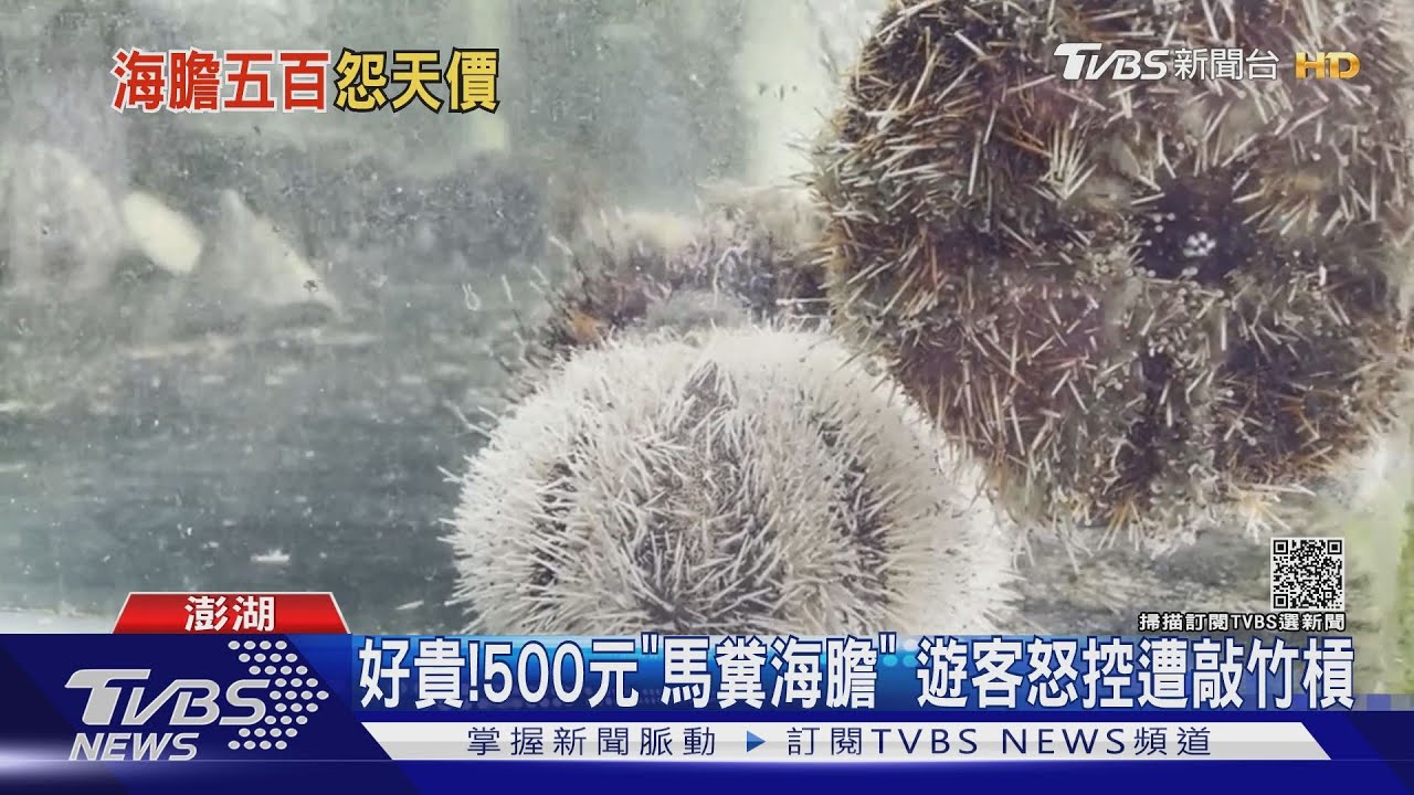 好貴!500元「馬糞海膽」 遊客怒控遭敲竹槓