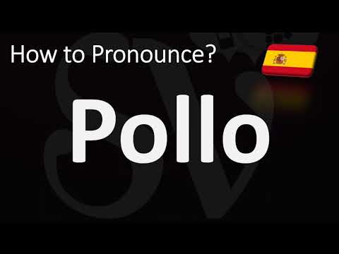 How to Pronounce Pollo? | How to Say CHICKEN in Spanish