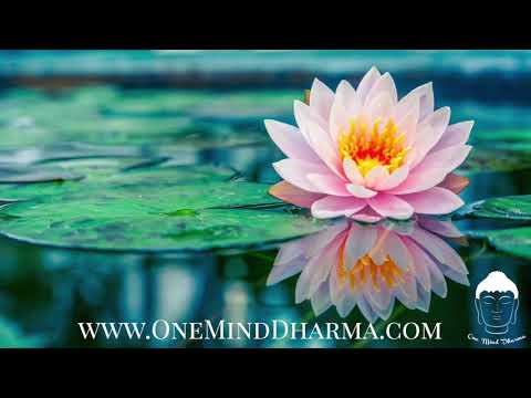 Vipassana Guided Meditation - Insight Practice