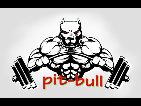 *Pit bull motivation *  2018