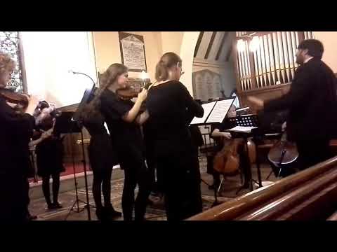 Jazz Pizzicato performed by Donegal Chamber Orchestra