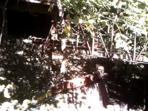 10-07-2010 omaha botanical gardens 036.AVI